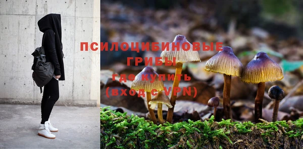jwh Саяногорск